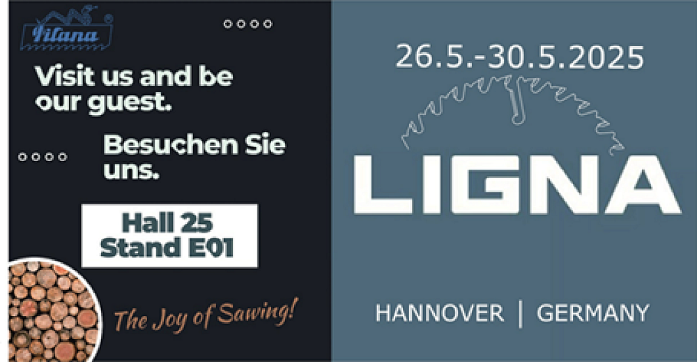 Rozvoj podnikání společnosti PILANA Wood s.r.o. v zahraničí