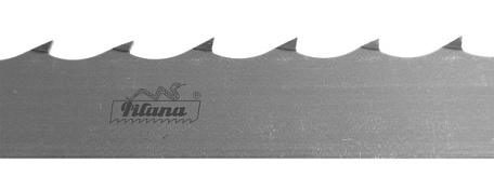 Kmenové pilové pásy GOLD MASTER WM2