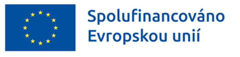 Rozvoj podnikání společnosti PILANA Wood s.r.o. v zahraničí